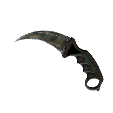 StatTrak™ Karambit | Forest DDPAT  (Field-Tested)