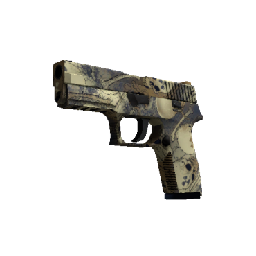 P250 | Contamination  (Minimal Wear)