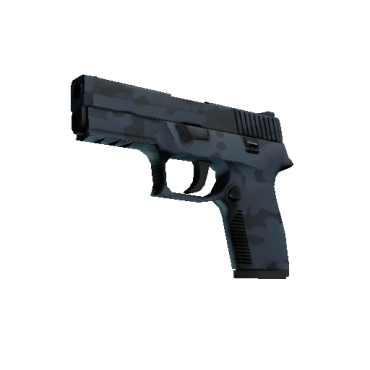 P250 | Forest Night  (Factory New)